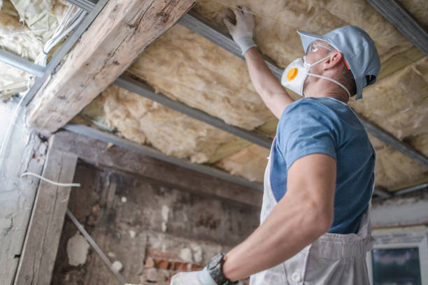Best Insulation Maintenance and Repair in St James, MO