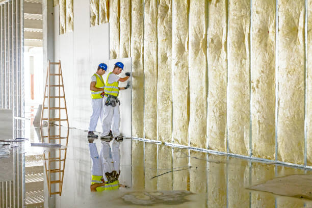 Best Blown-in Insulation in St James, MO